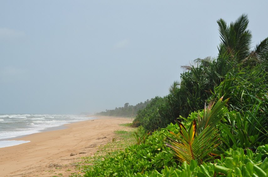 Bentota Beach, Southern Province, Sri Lanka